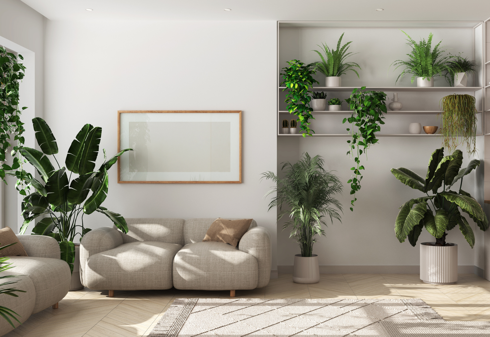 Indoor Plants Design
